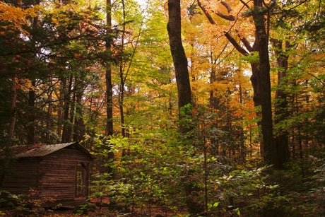 Five Hikes in the MidCoast to See Fall Foliage