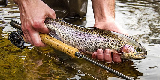 Trout Unlimited Fishing Expo at MSO