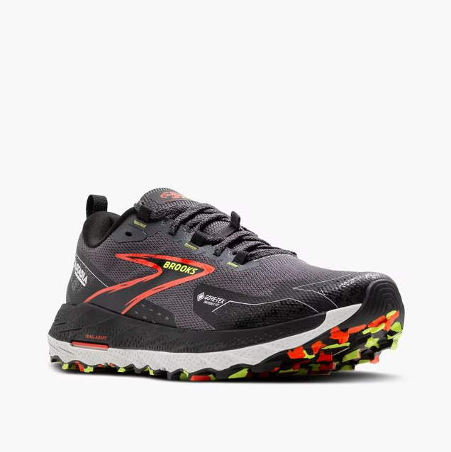 Cascadia 18 GTX Men's