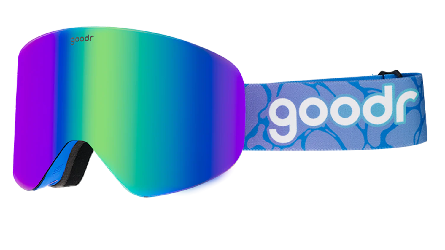 Cold-Blooded Lodge Lizard