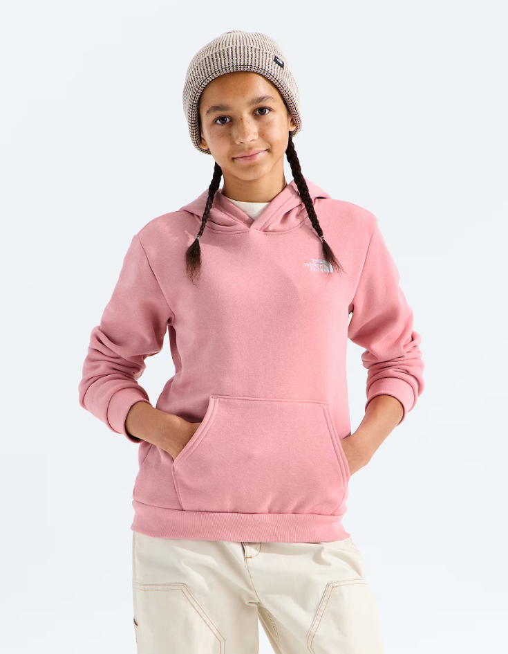 Teen Evolution Simple Dome Pullover Hoodie