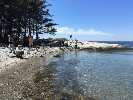 Black Island Service Day