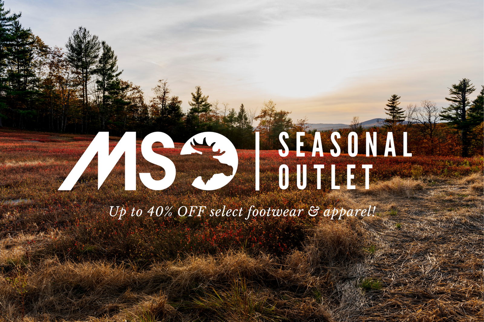 MSO Seasonal Outlet - Camden Store