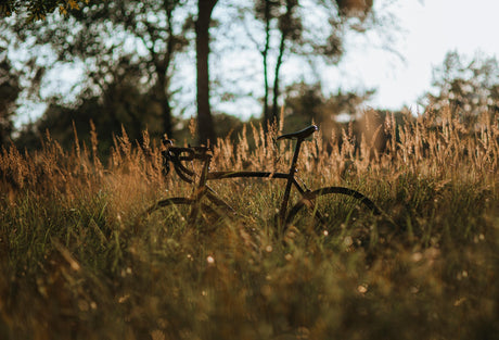 Best Local Bike Rides near Camden, Maine