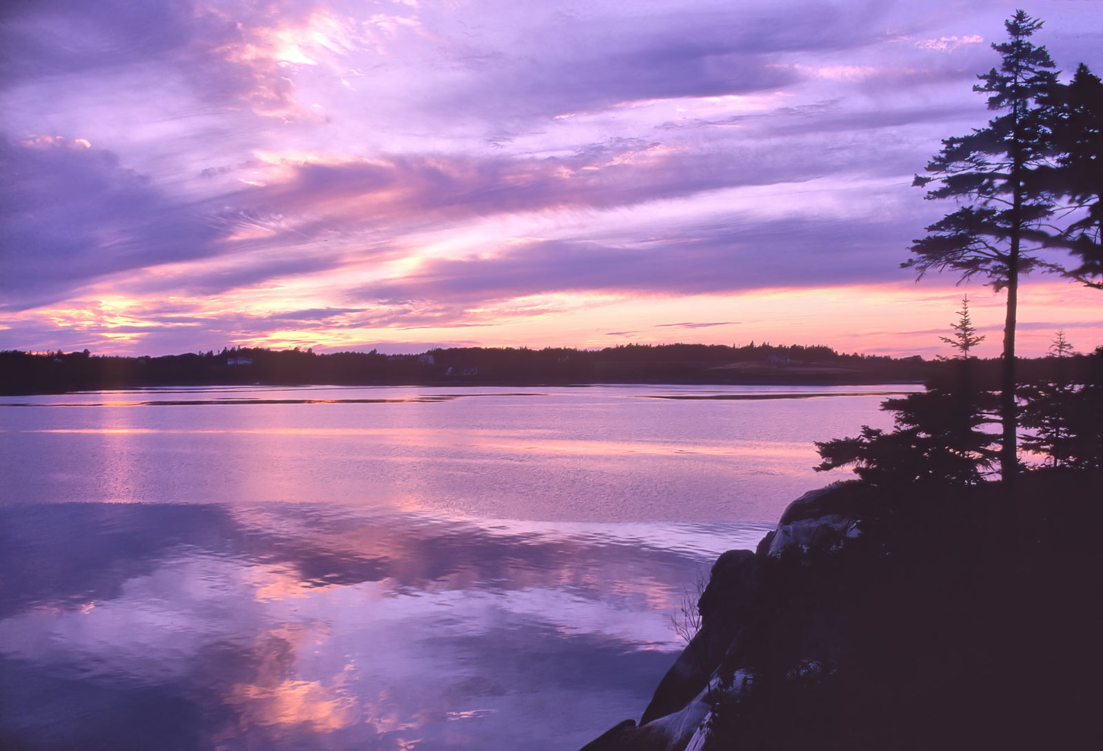 A Beginner's Guide to Catching Striped Bass in Maine