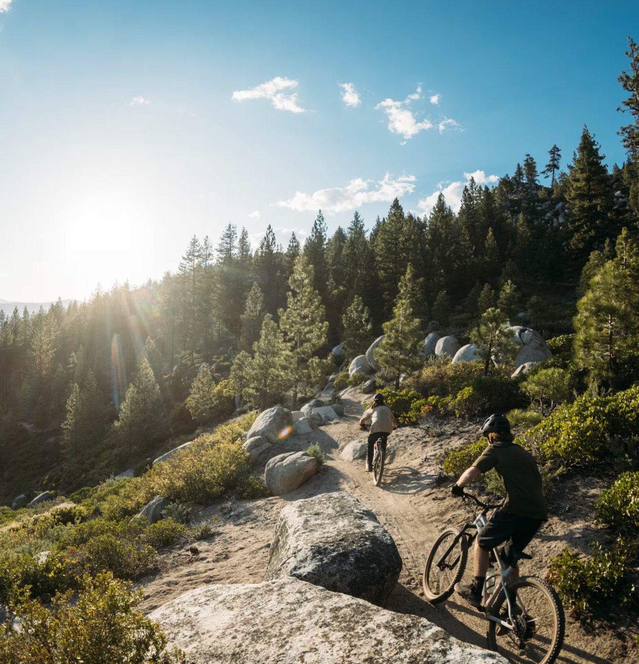 Mountain Bikes