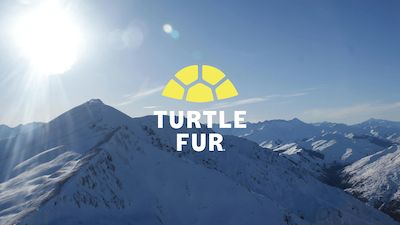 Turtle Fur