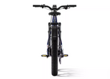 Aventure 3 Step Through Ebike