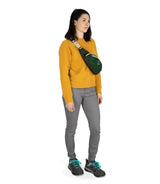 Daylite Waist Pack