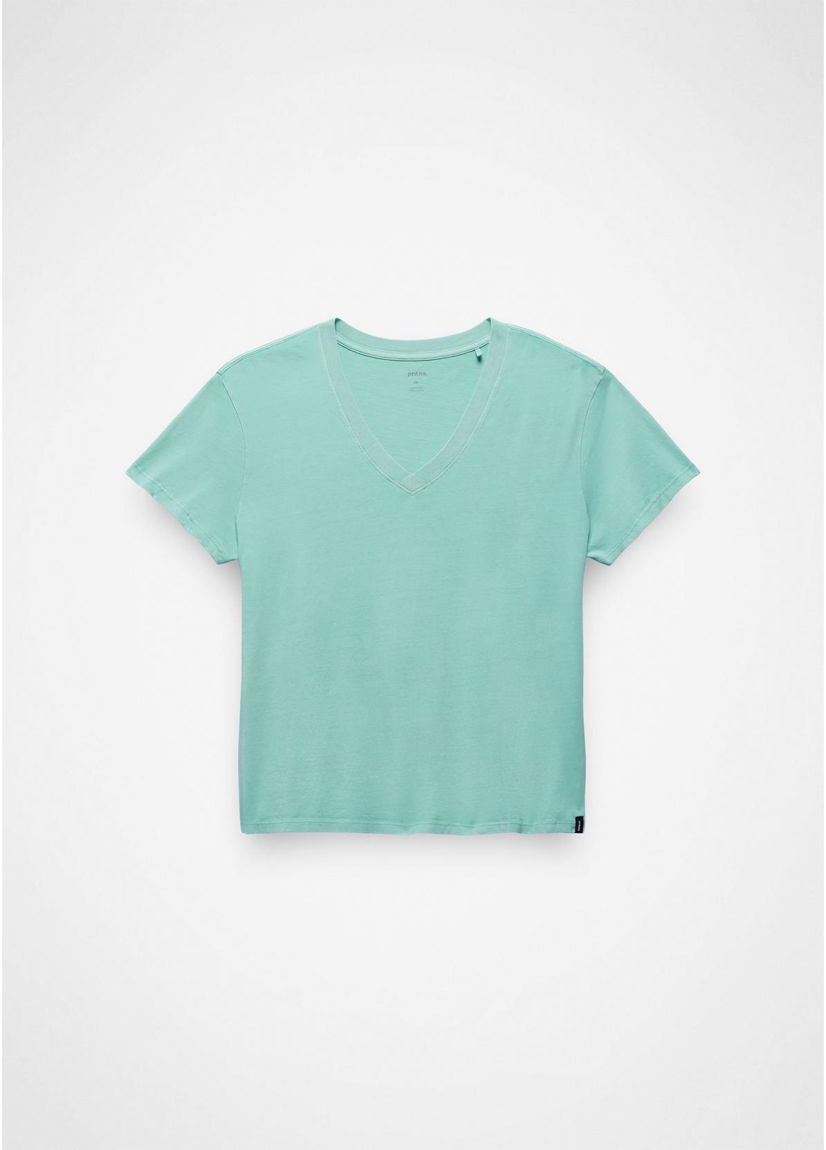 Everyday V-Neck Tee
