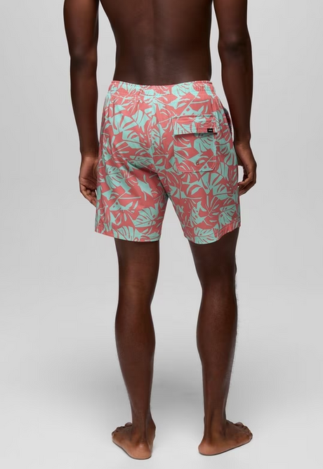 La Jolla Lined Short