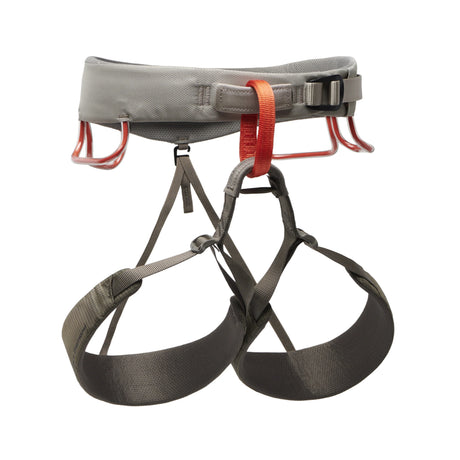 M Momentum Harness