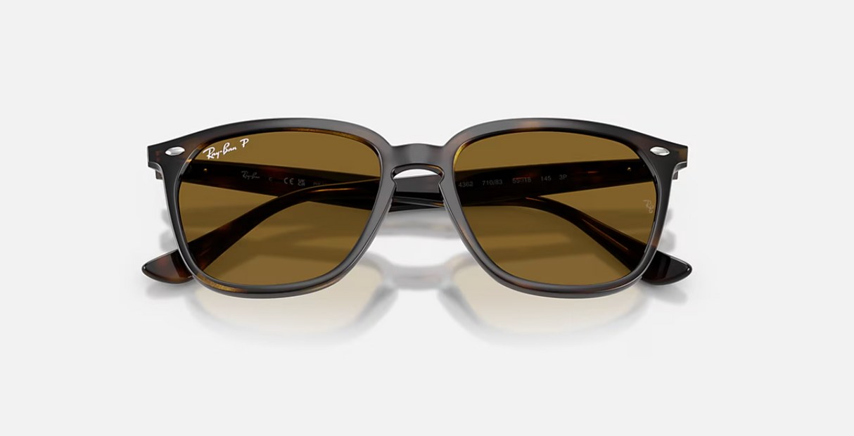 RB4362 710/83 Polished Havana w/ B-15 Brown 55