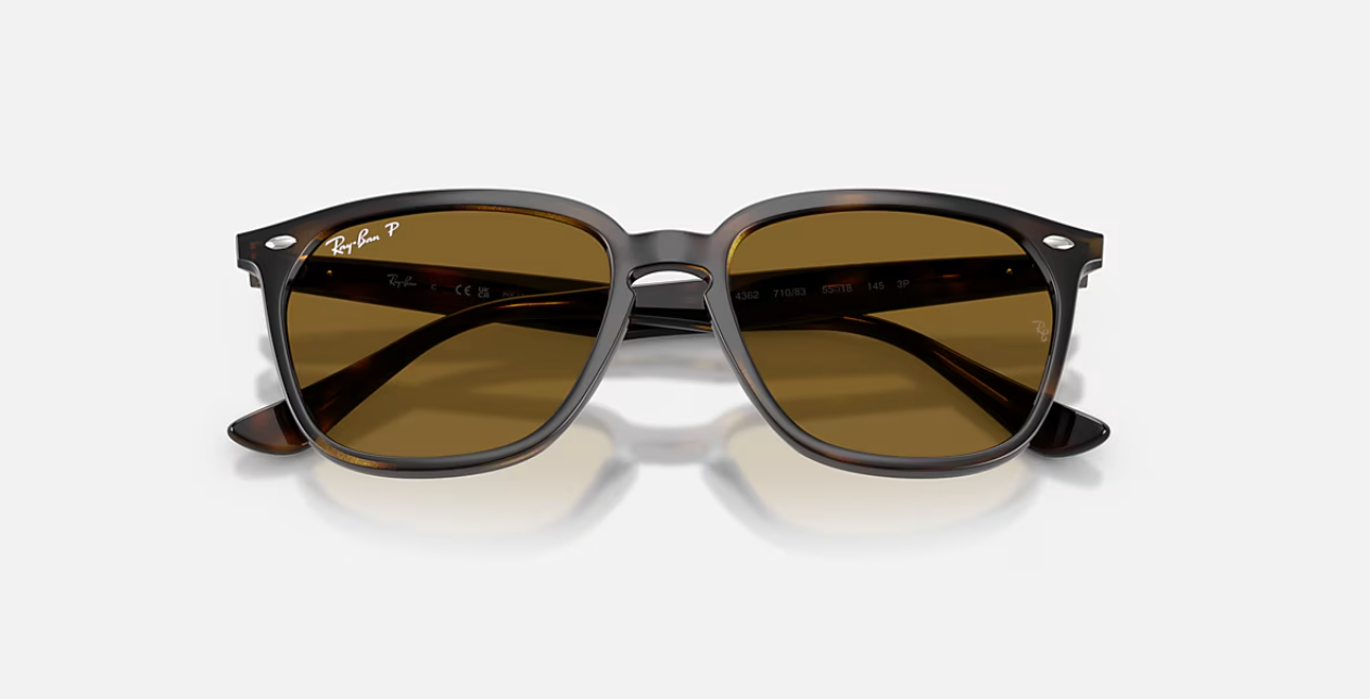 RB4362 710/83 Polished Havana w/ B-15 Brown 55