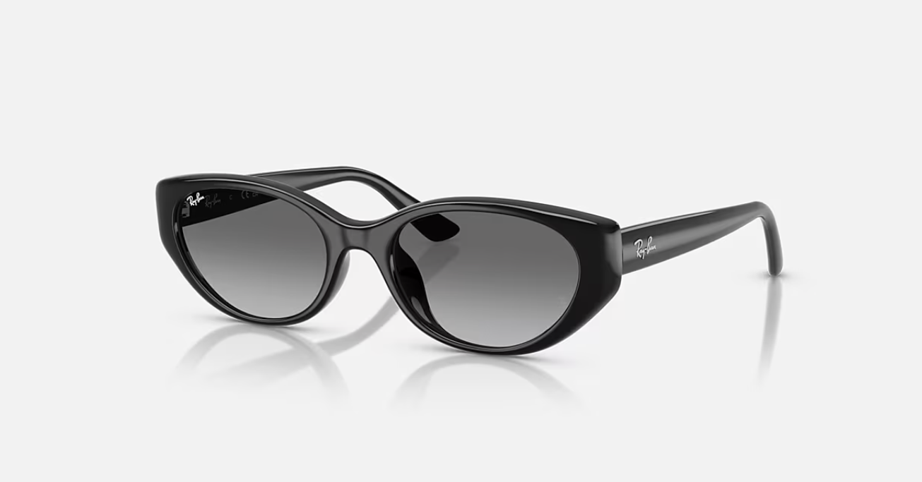 RB4457D Bio-Based 667711 Polished Black w/ Grey Gradient 53