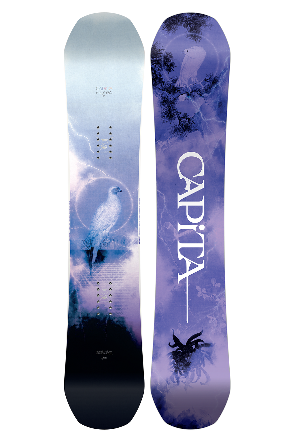 Birds of a Feather Snowboard 2024