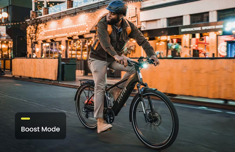 Level 3 Step Through Commuter Ebike