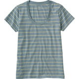 Soft Stretch Supima Tee Scoopneck Short Sleeve Stripe Women's Regular