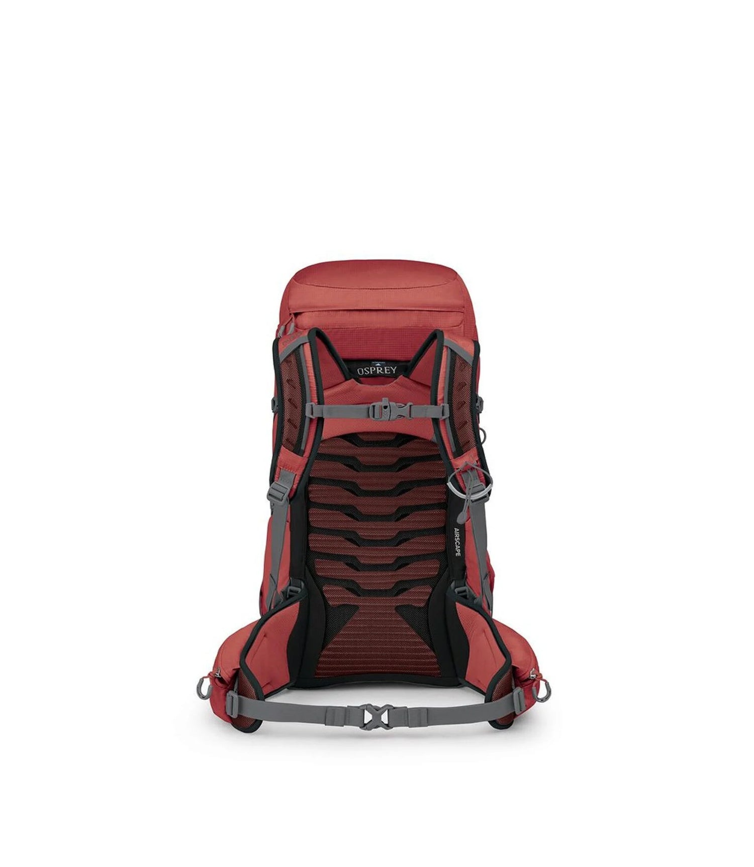 Tempest 33 Red Pampas Coal Grey OS