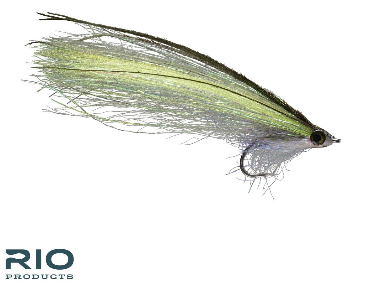 Rio's Pipe Eel Olive 2