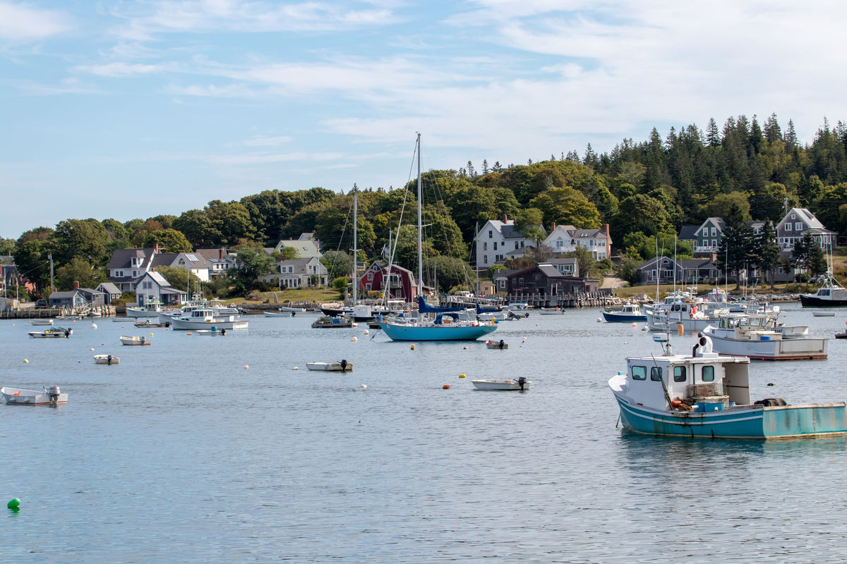 Vinalhaven EBike Tour - Maine Sport Outfitters