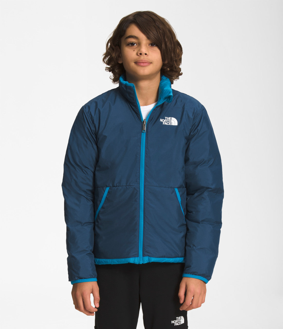 The north face hotsell nuptse ridge down parka